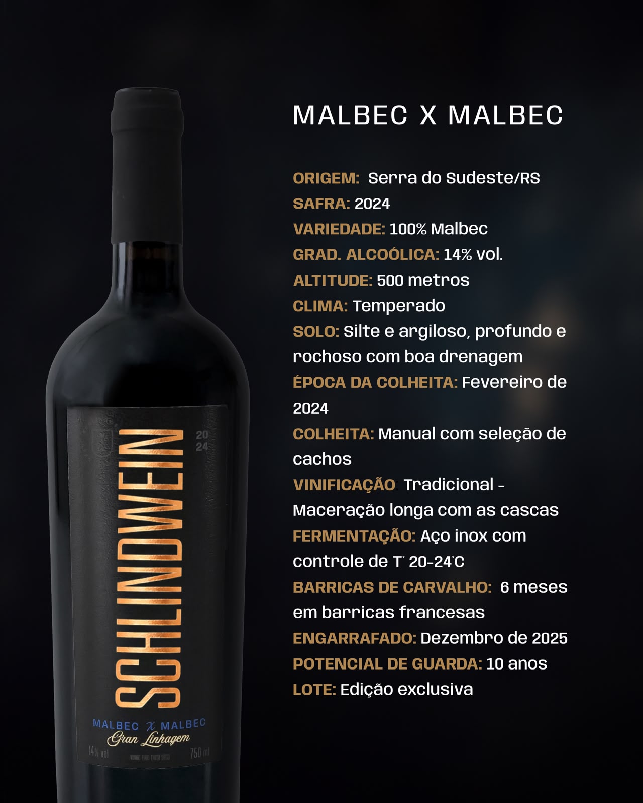 Malbec x Malbec · Ficha Técnica